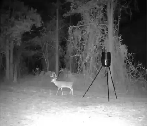 Customer trail-camera photo submitted with Christopher E.'s review: a buck beside a tripod feeder at night