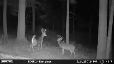 Customer trail-camera photo submitted with David G.'s review: two bucks at night, 12/24/25