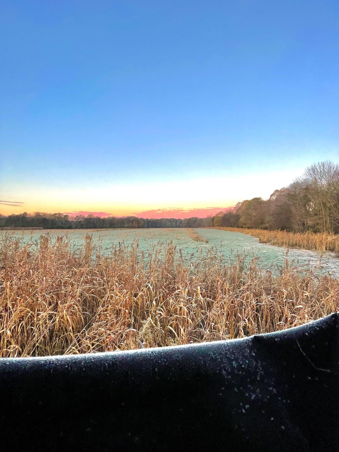 Food Plot Screens & Why You Need Them
