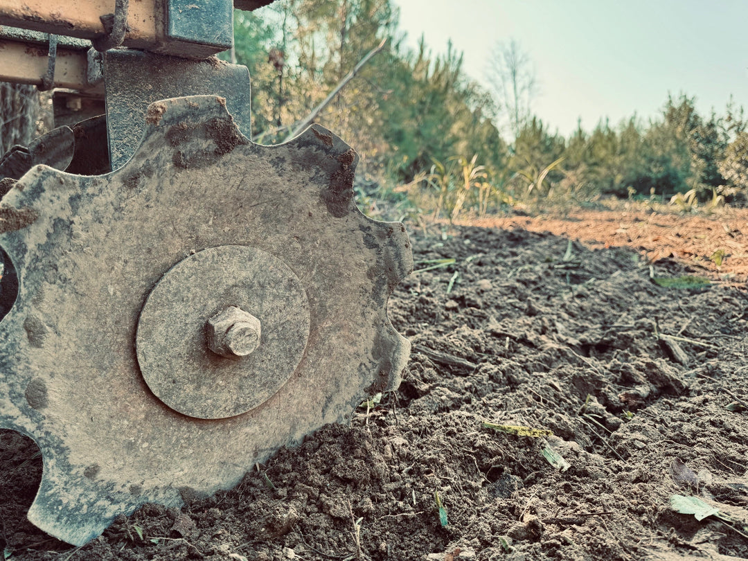 Ground worked and waiting on rain — the seed goes in when the forecast does.