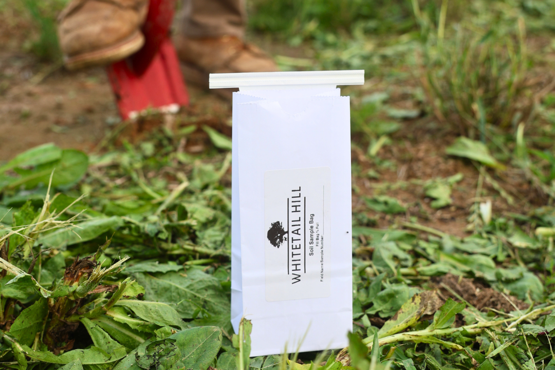 Lime and Fertilizer for Food Plots: What Actually Grows a Better Plot