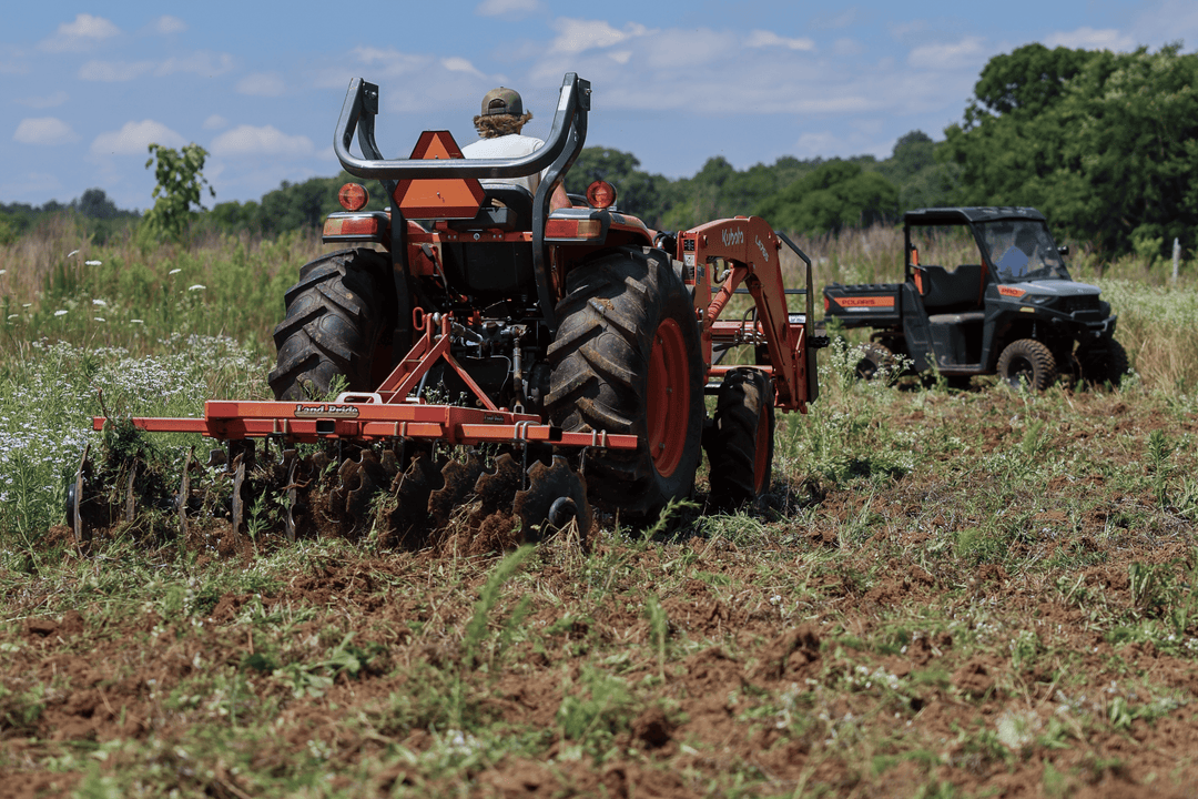 Food Plot Strategy: What to Think About Before You Plant This Fall