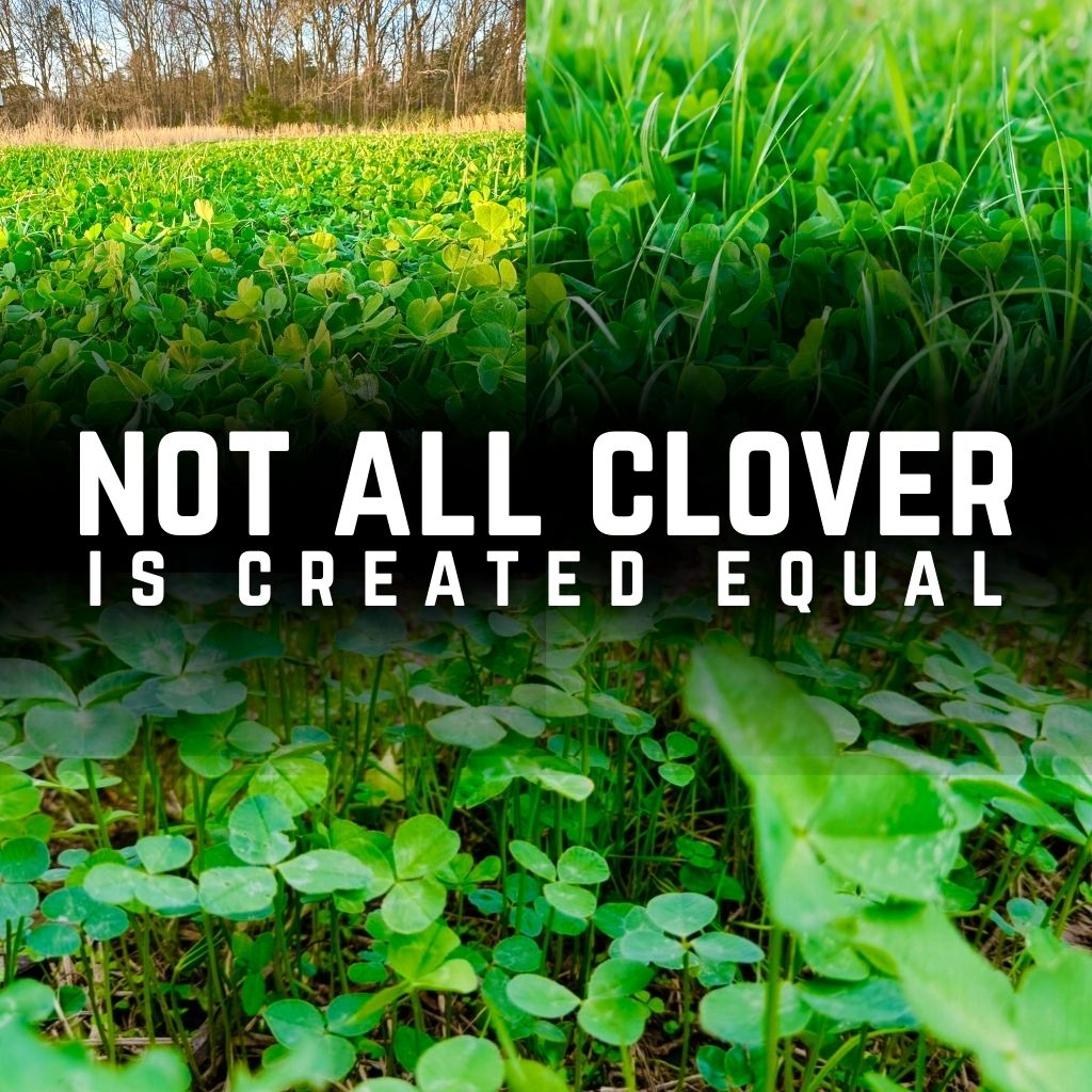 Not All Clover is Created Equal