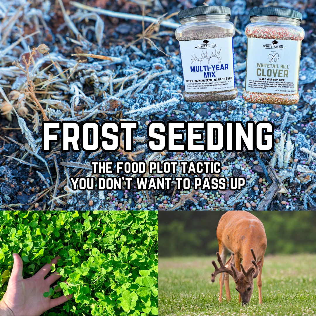 Frost Seeding: A Tactic You Don't Want to Miss