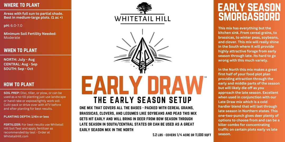 Early Draw (Formerly Complete 1)