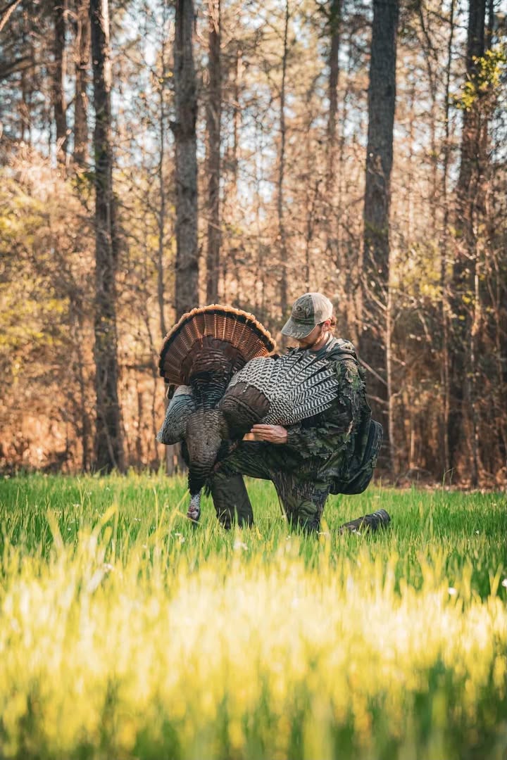 Bucks and Beards