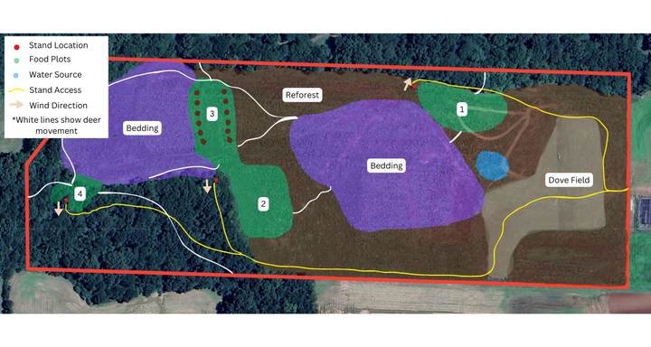 Hunting Land Improvement Plan