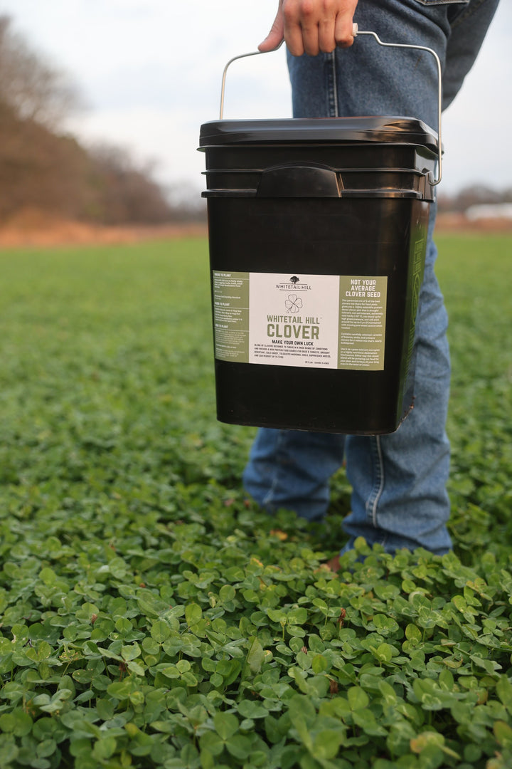 Whitetail Hill Clover