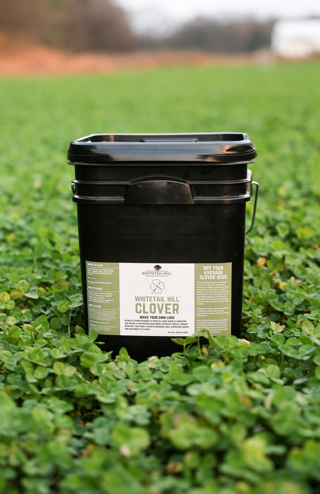 Whitetail Hill Clover