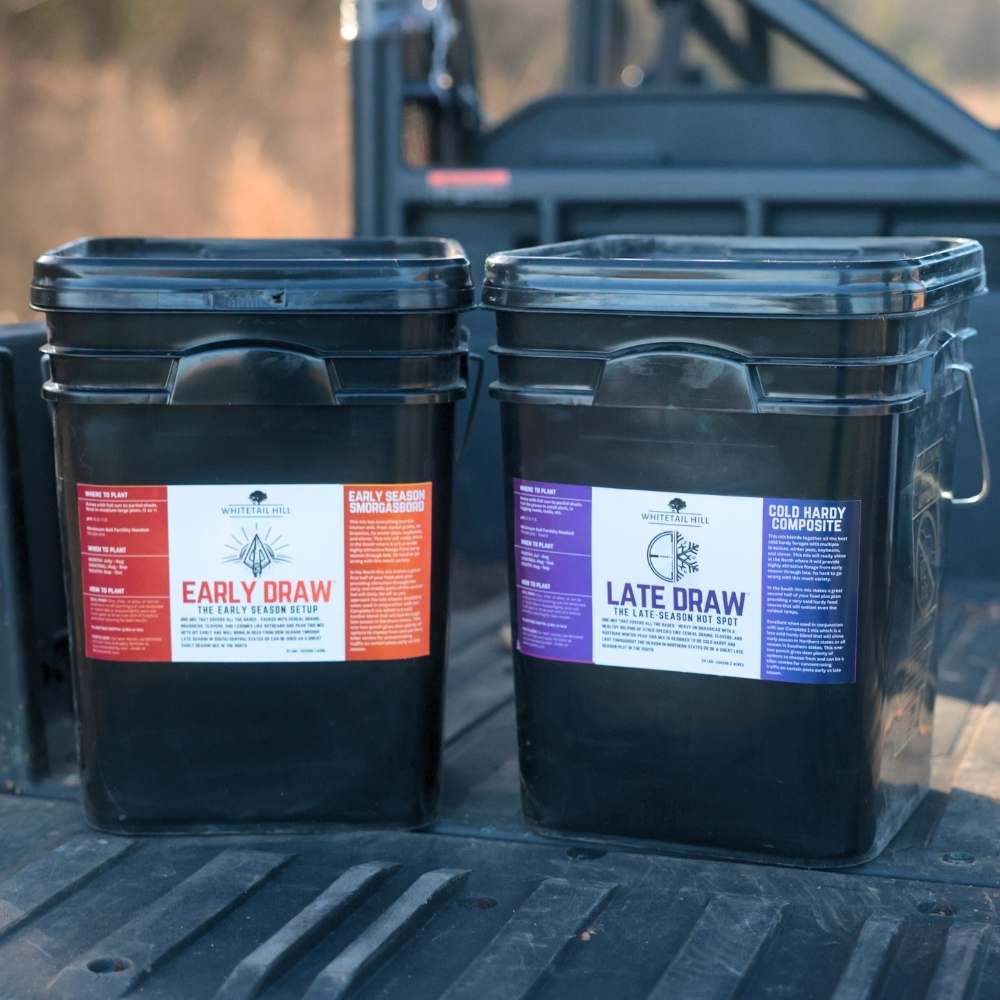 Late Draw (Formerly Complete 2)