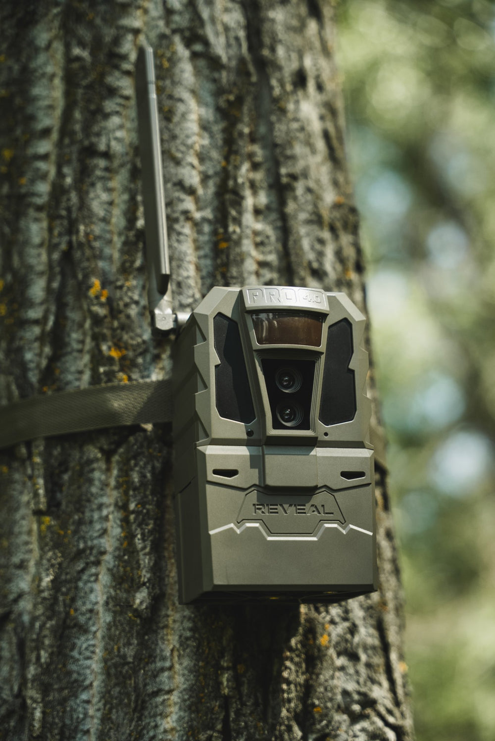 REVEAL Pro 4.0 strapped to a tree