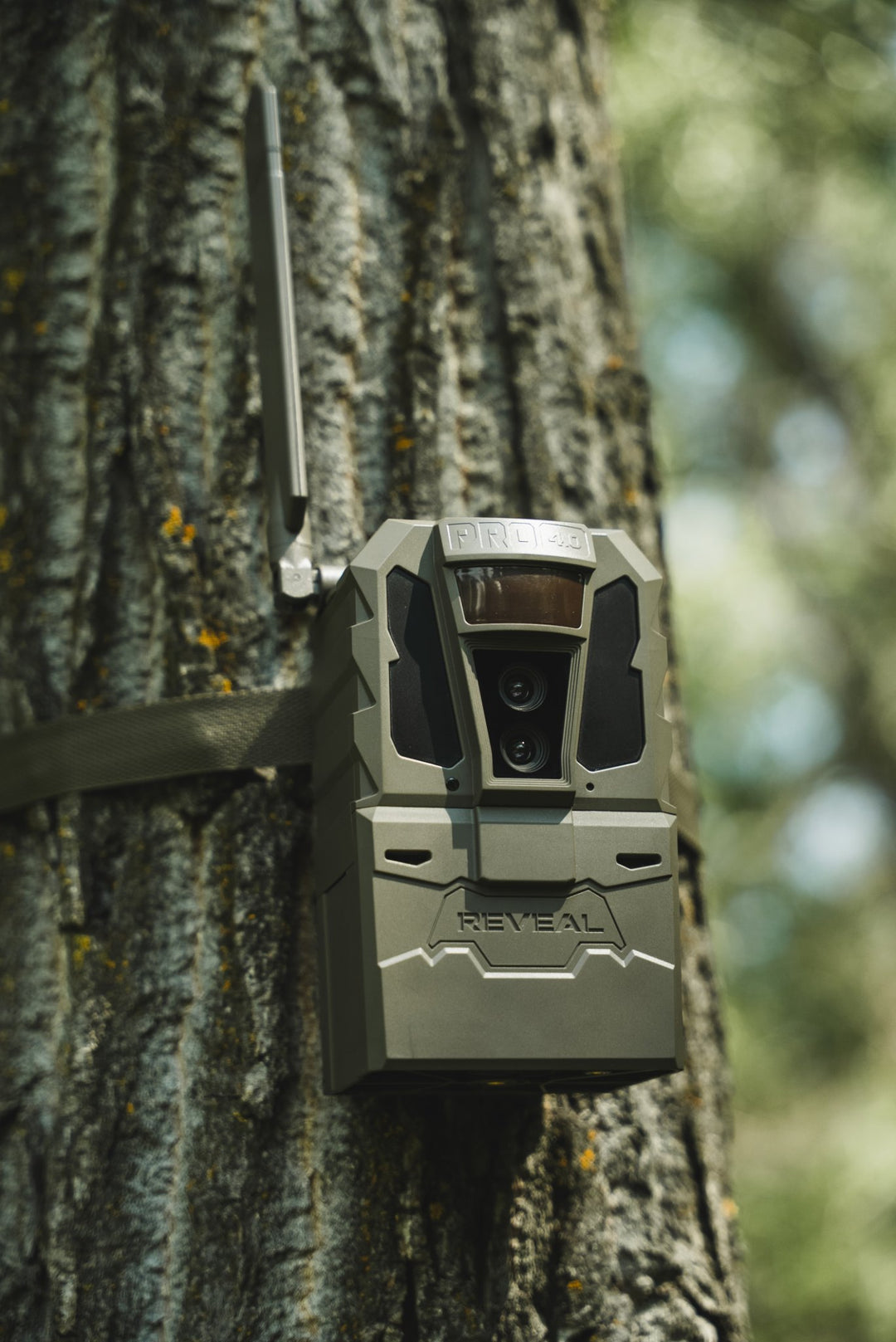 REVEAL Pro 4.0 strapped to a tree