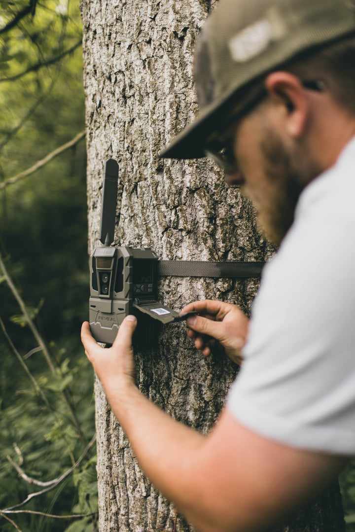 Hunter hanging a REVEAL Pro 4.0 on a tree