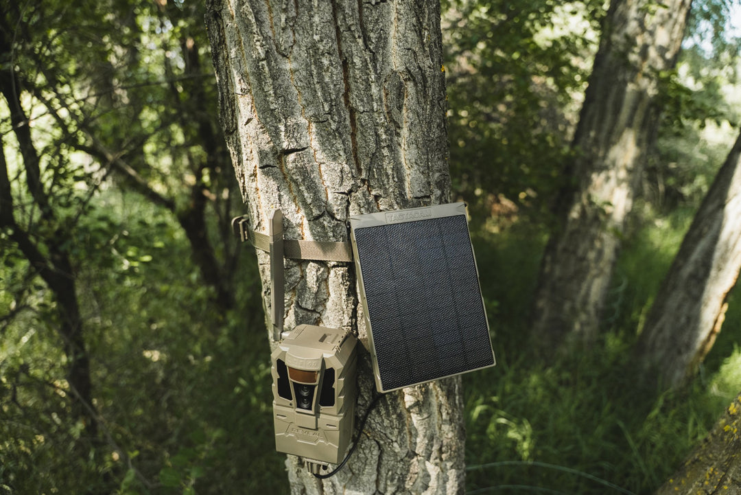 REVEAL Solar Panel R5 powering a Pro 4.0 on a tree