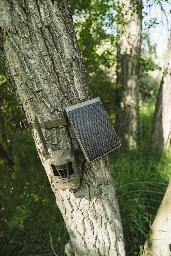 REVEAL Solar Panel R5 mounted above a trail camera
