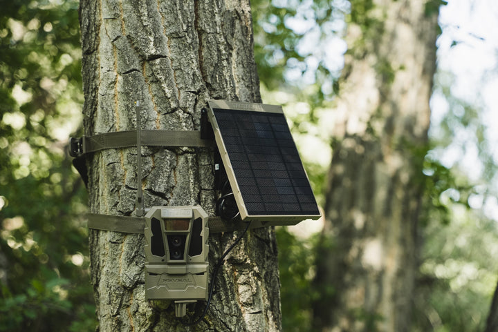 REVEAL Solar Panel R5 and camera set up in the woods