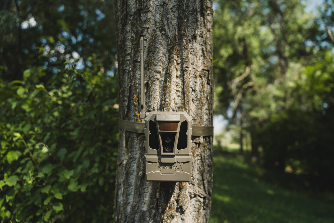 REVEAL Pro 4.0 watching a field edge from a tree