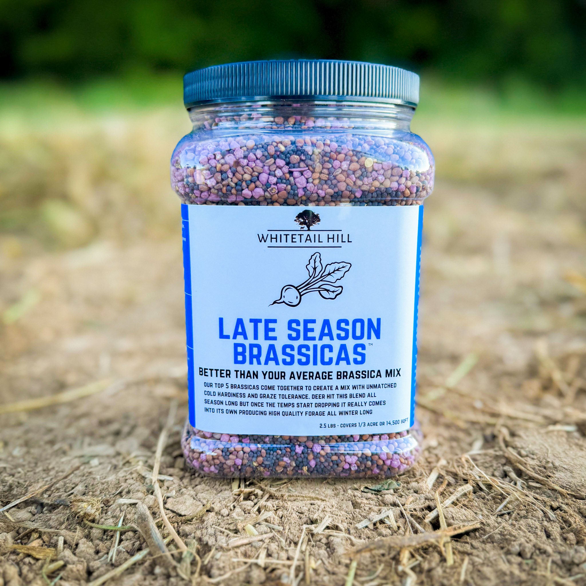 Late Season Brassicas – Whitetail Hill