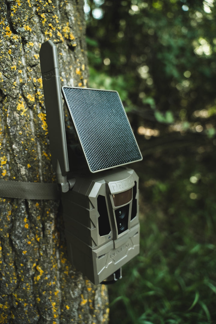 REVEAL Pro 4.0 Solar strapped to a tree with the solar panel mounted above
