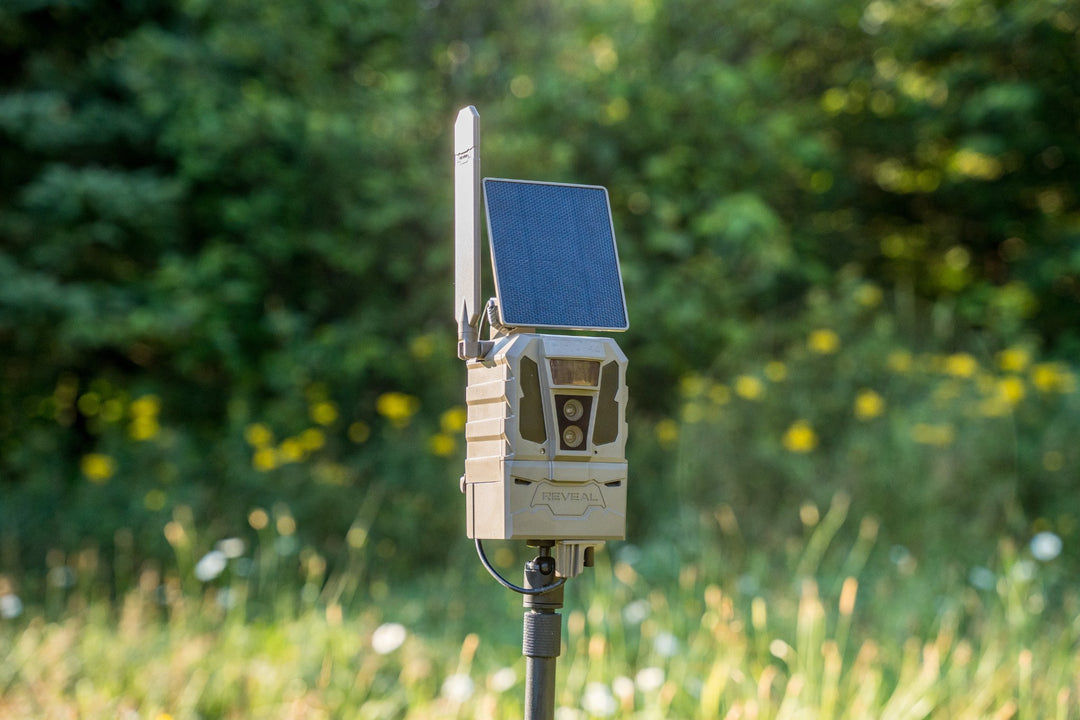 REVEAL Pro 4.0 Solar on a stake mount at the edge of a field
